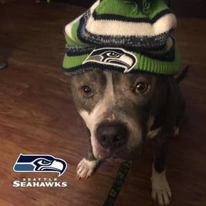 Meet your Posher, Patti